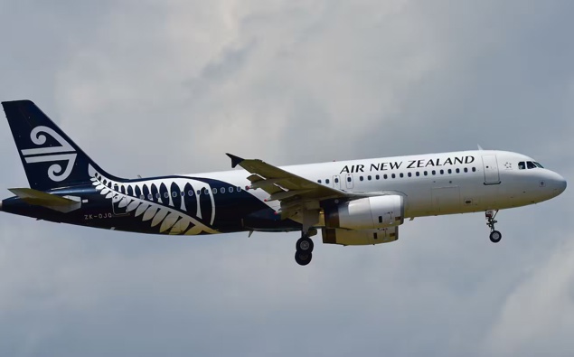 Passenger describes ‘deafening bang’ as Air New Zealand plane hit by lightning