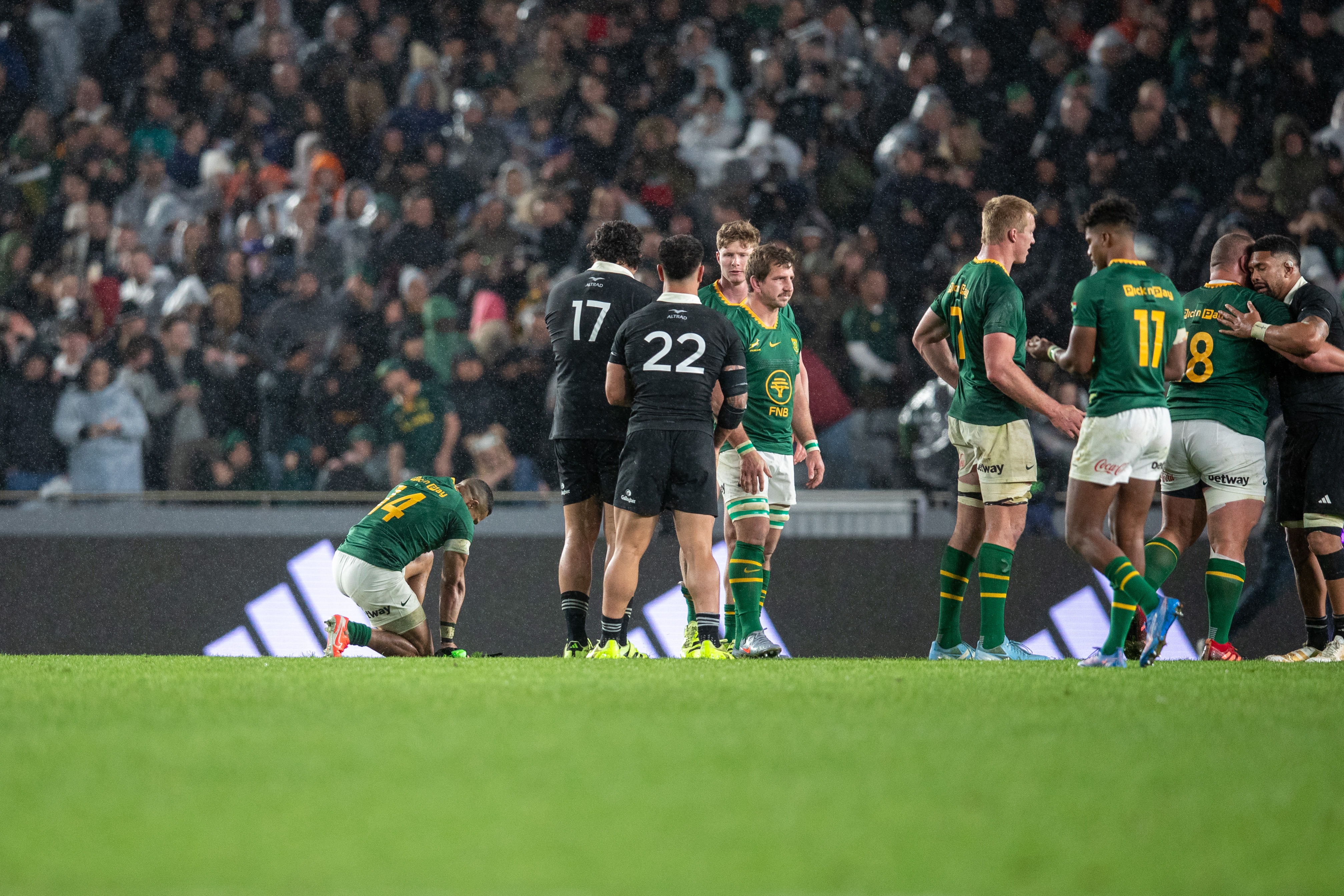 All Blacks v Springboks: Can the Kiwi side keep it up for Wellington? 