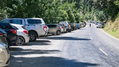 Parking spilling out onto Maraetōtara Rd at the waterfall carpark, during a scorcher on Sunday. Photo / Connull Lang