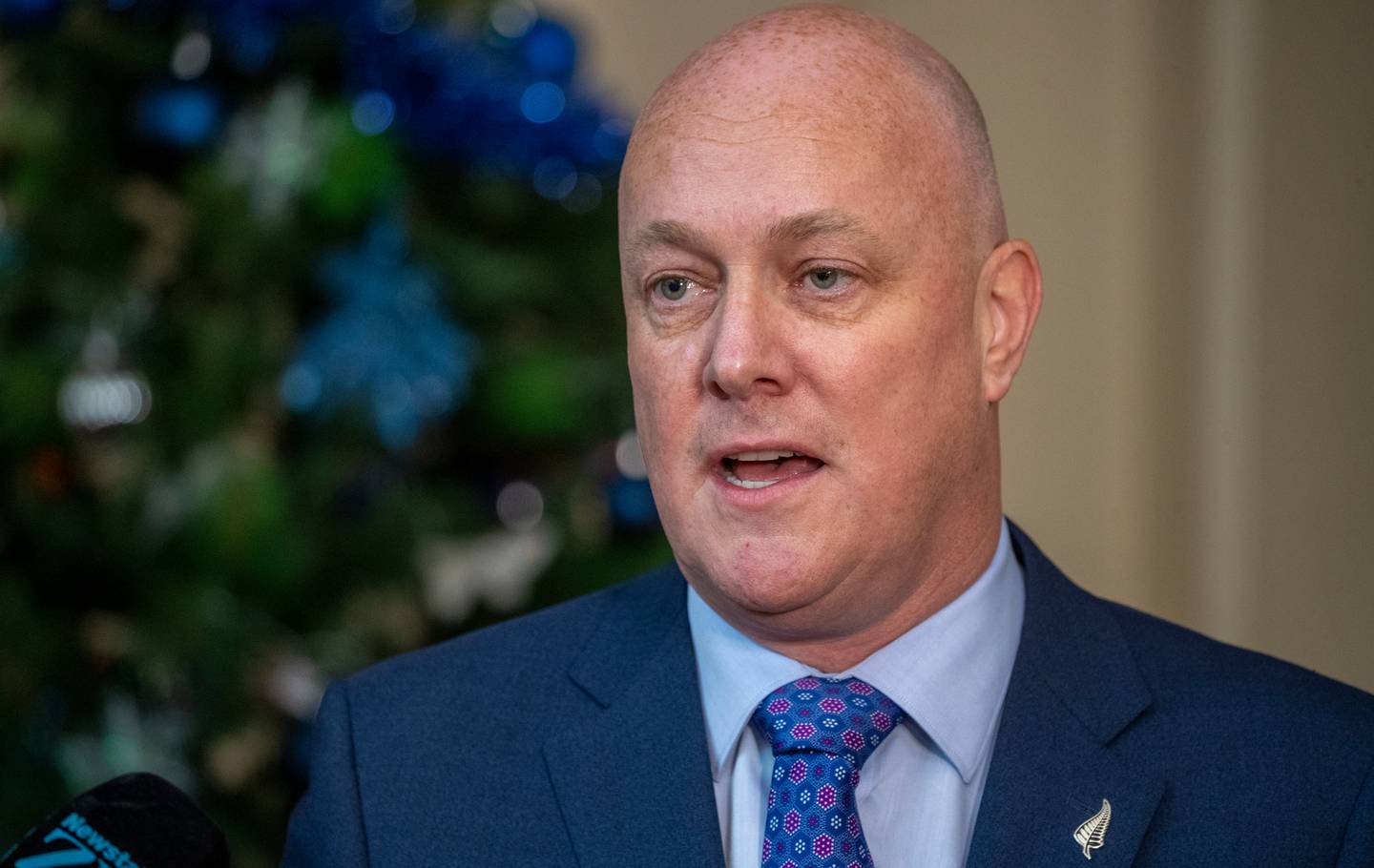 National Party leader Christopher Luxon. Photo / Mark Mitchell