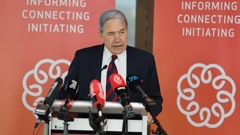 Winston Peters delivers a speech to the New Zealand China Council. Photo / Michael Craig