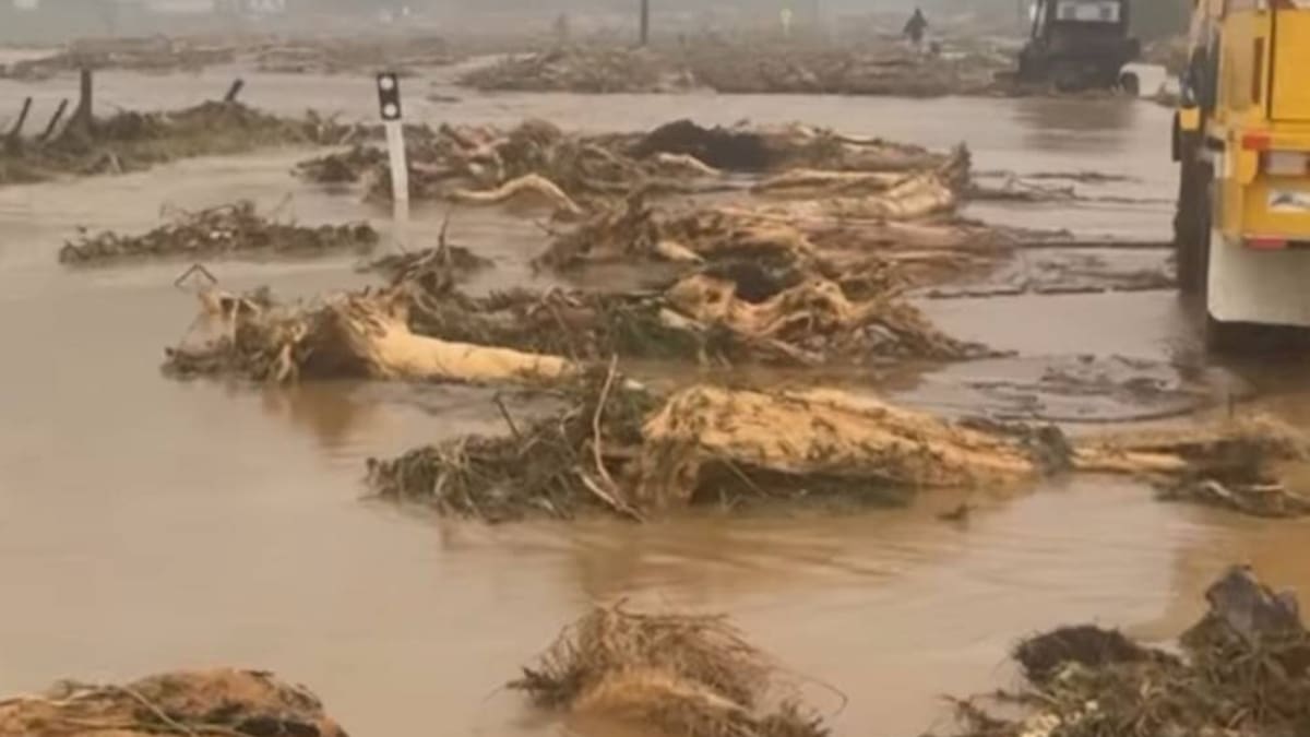 Mother’s night on creaking roof with kids as floodwaters tear through East Coast home