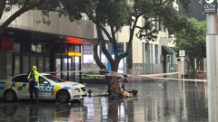 One person was seriously injured in a possible shooting in downtown Auckland's Fort St on April 27, 2025. Photo / Katie Oliver