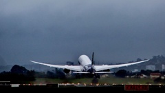 An unruly passenger on an Air NZ flight was met by police at Melbourne Airport. Photo / Grant Bradley