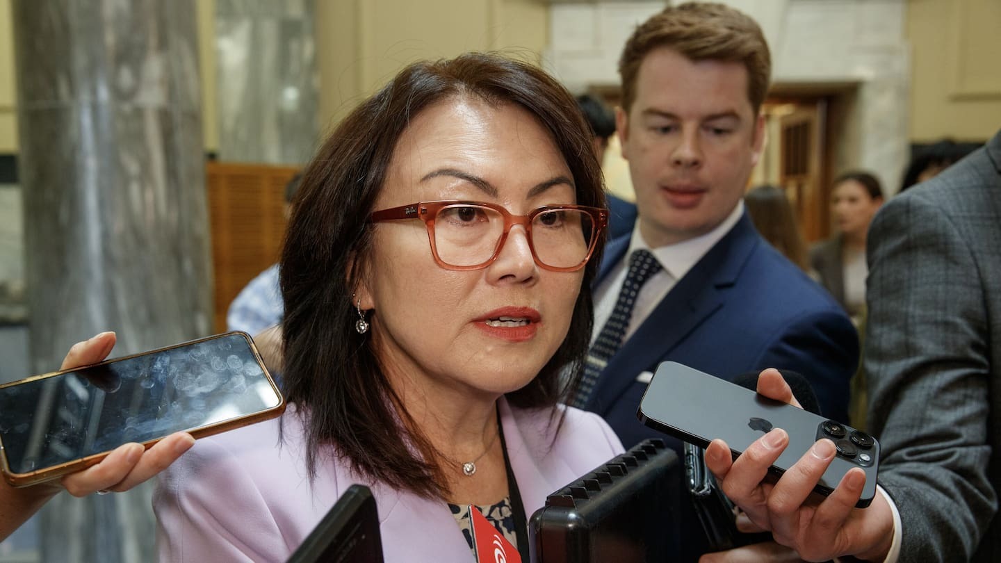 Melissa Lee has been tipped out of Cabinet. Photo / Mark Mitchell