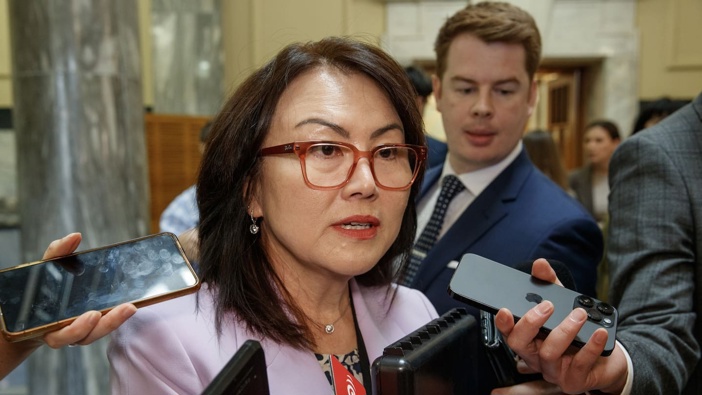 Melissa Lee has been tipped out of Cabinet. Photo / Mark Mitchell