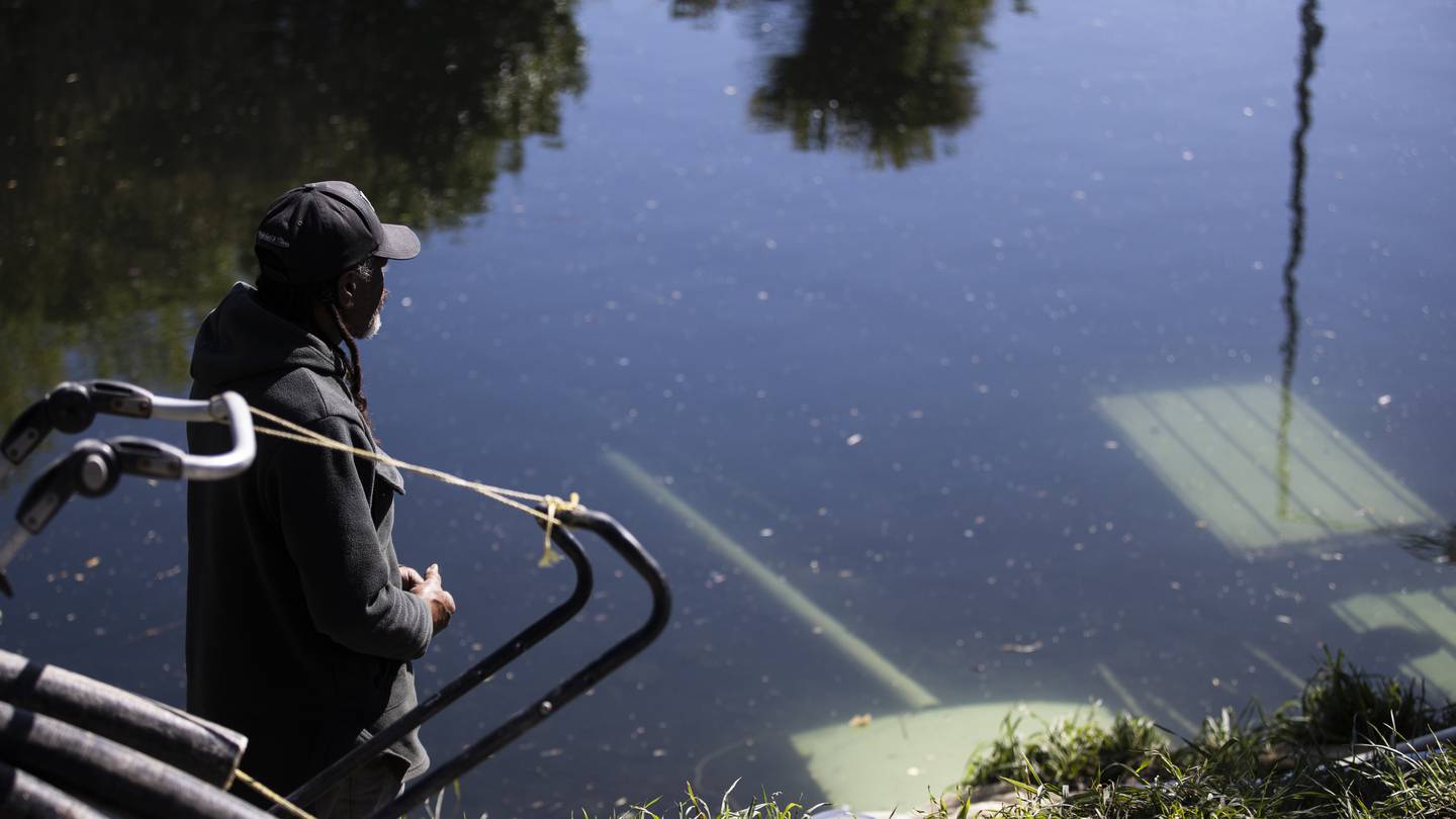 Whitebaiters on the Avon River in Christchurch despite the season ending. Photo / George Heard