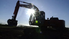 A bone was found at a work site near Hastings recently which led to a police examination. Photo / NZME