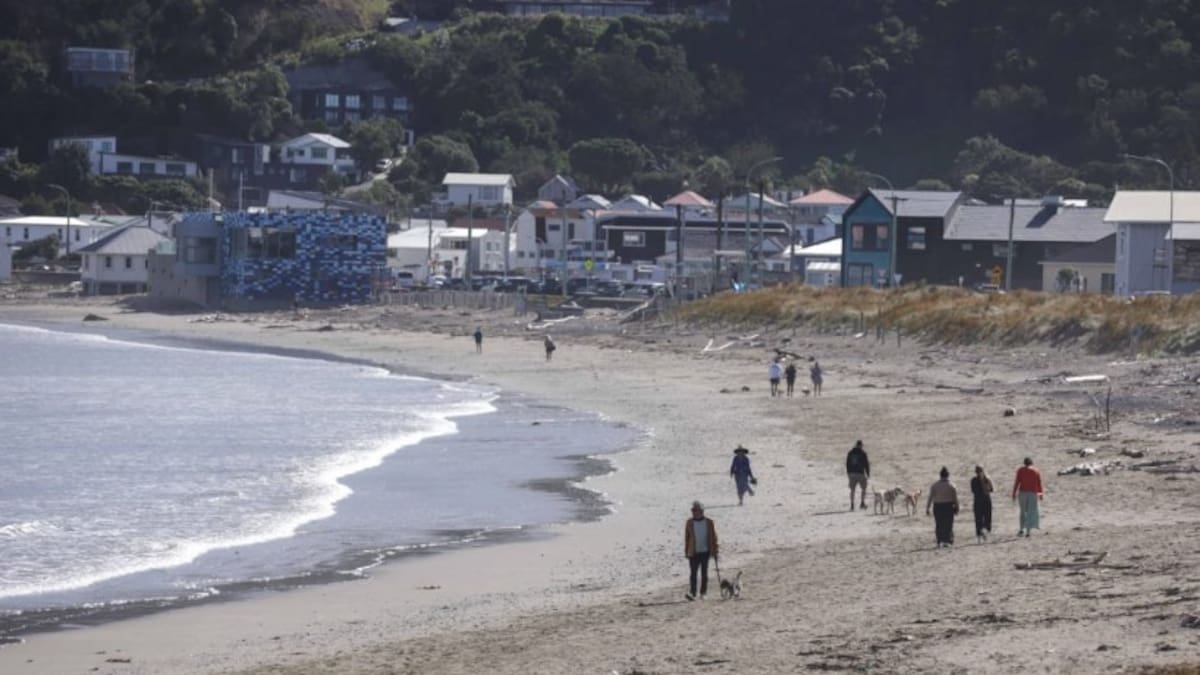 Concerns weather could push raw sewage towards Wellington's shoreline