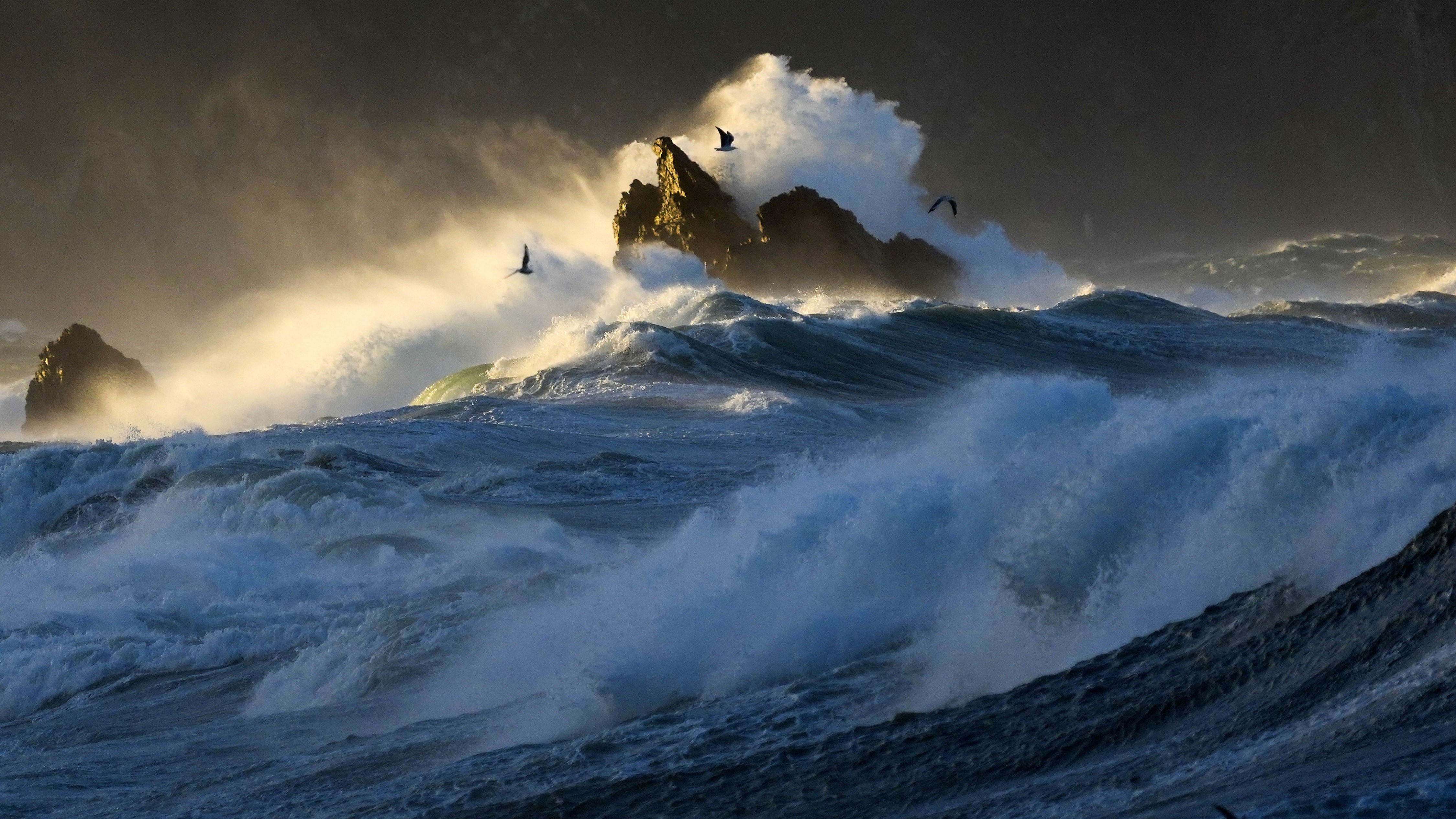 Evacuations ordered, state of emergency as huge waves set to hit Wellington and Wairarapa
