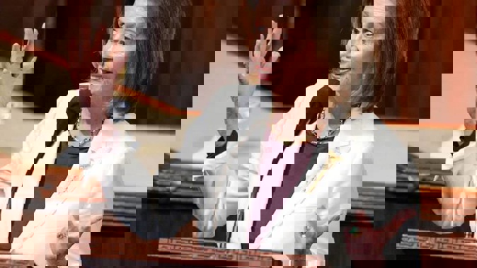 Nancy Pelosi. Photo / NZH