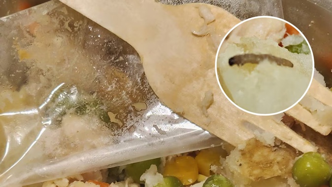 A larva was found in a lunch from the School Lunch Collective at a West Auckland school.