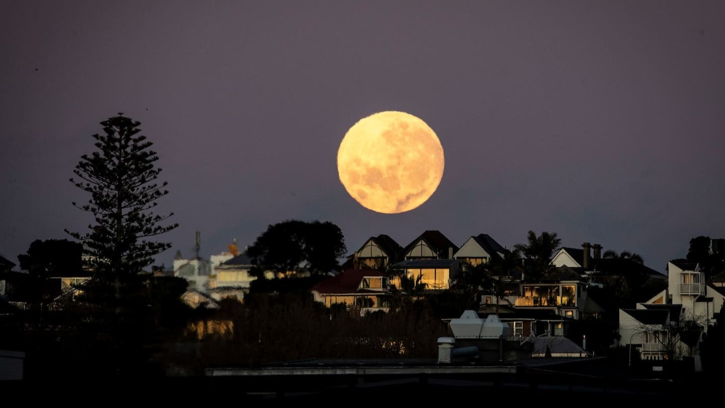 A supermoon over Ponsonby. Photo / Michael Craig
