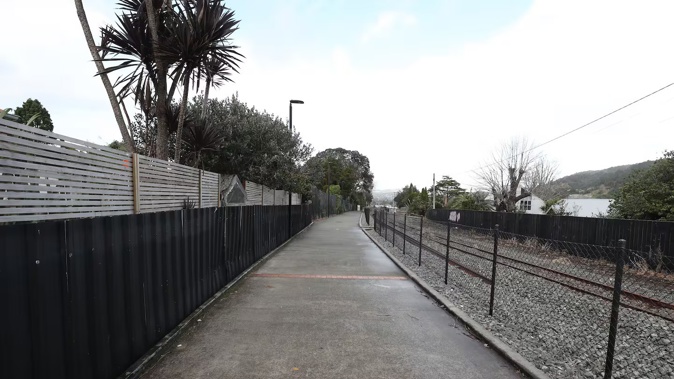 Two teens were seen pushing the elderly man on a shared pathway. Photo / Michael Cunningham