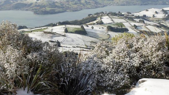The Otago Peninsula and Upper Junction covered with a sprinkling of snow last week, in this view from the summit of Mt Cargill. Photo / Stephen Jaquiery