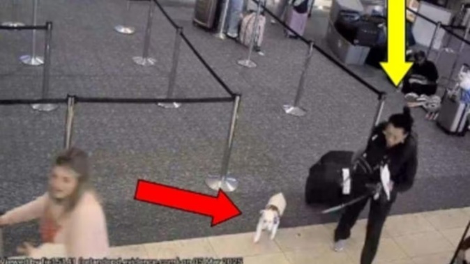 CCTV footage captured the woman with her miniature schnauzer Tywinn at Orlando International Airport before she allegedly drowned the dog. Photo / Orlando Police Department