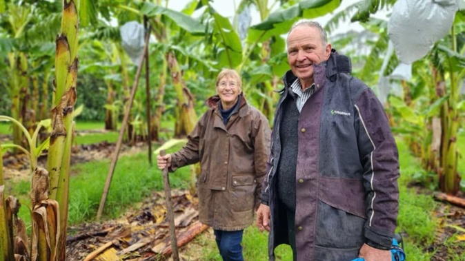 Jenny and Phil Grainger, part of the City to Farm project, have experimented with swales, composted with food scraps from urban areas, to improve water retention and nourish the soil on their banana grove at Waitoki. Photo / RNZ, Sally Round