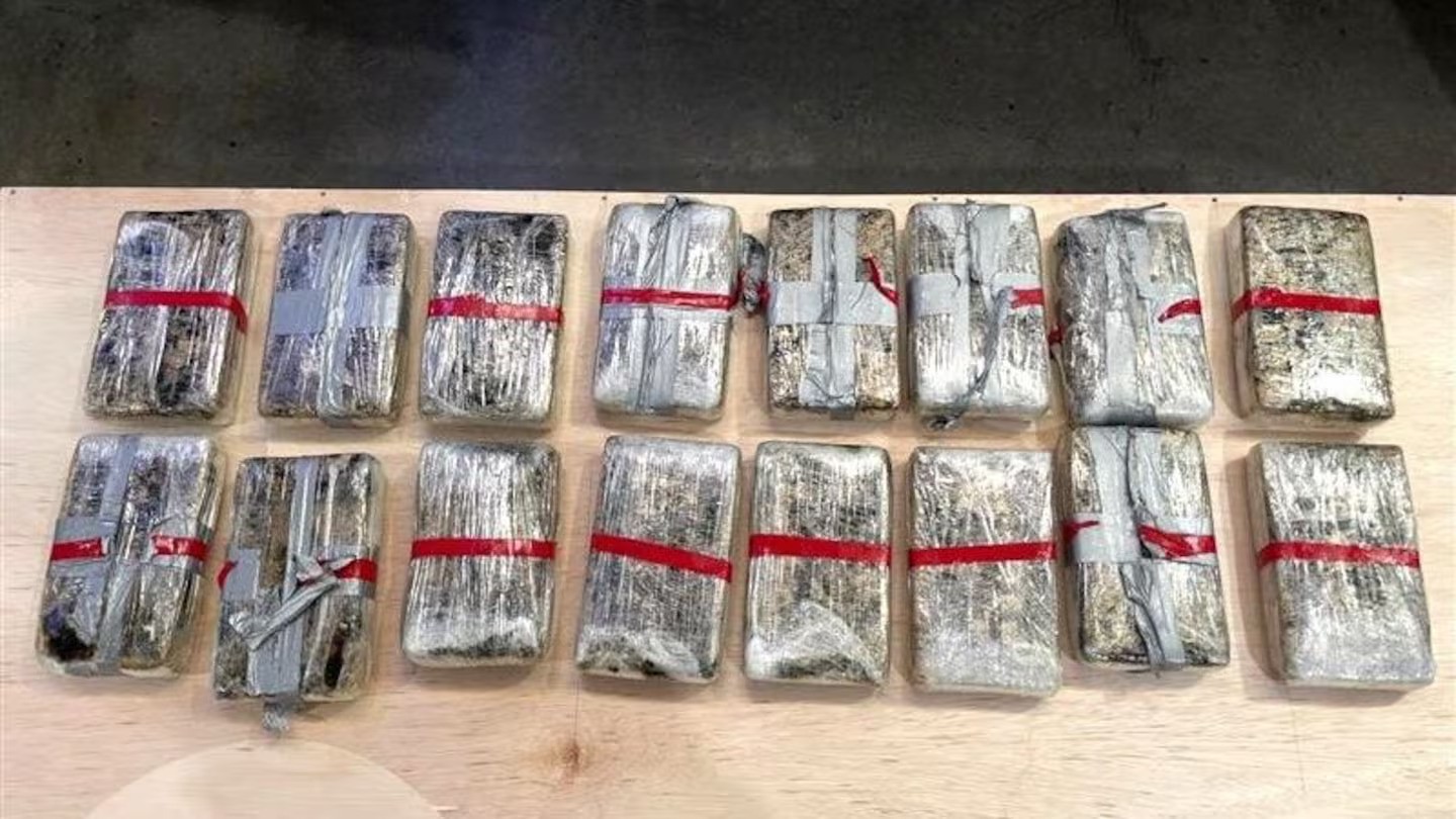 Customs seizes 16kg of cocaine at Port of Tauranga in second big bust of the month