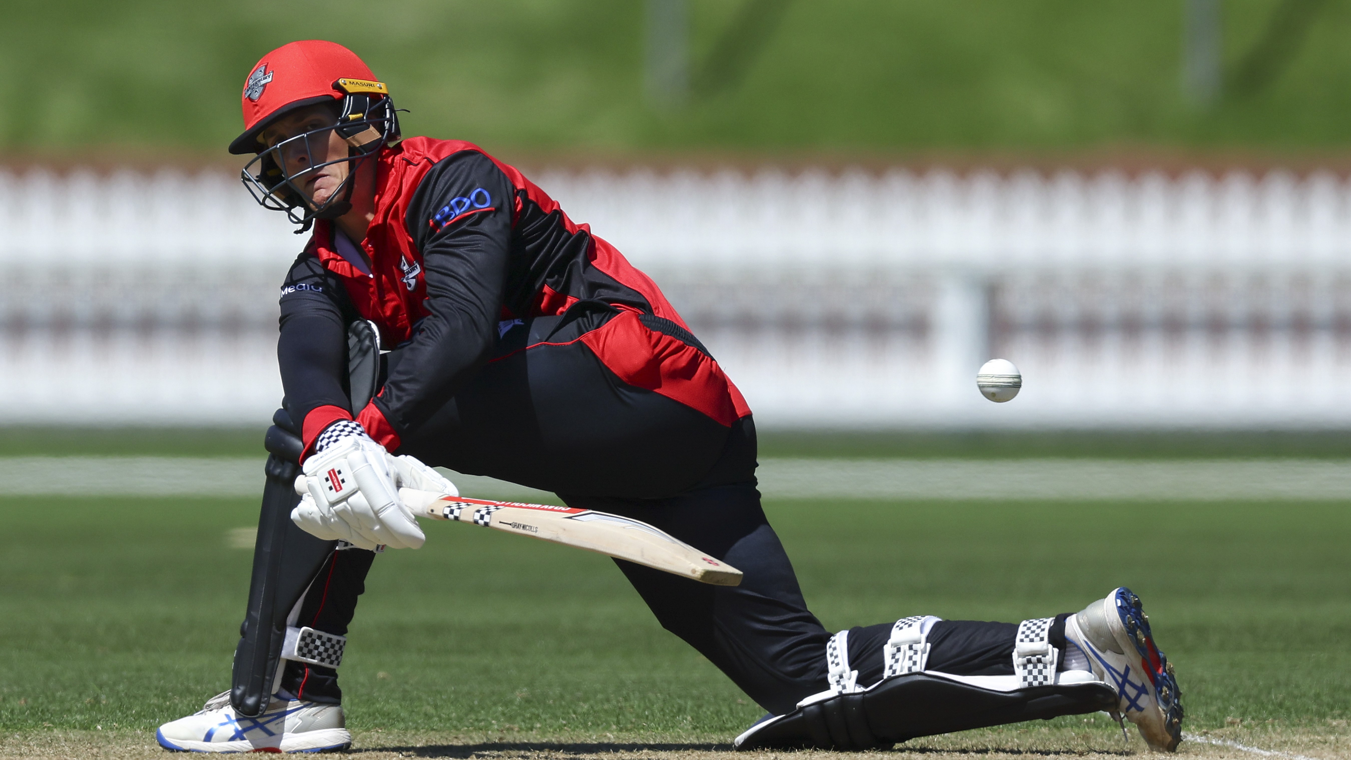 (Photo by Hagen Hopkins/Getty Images)