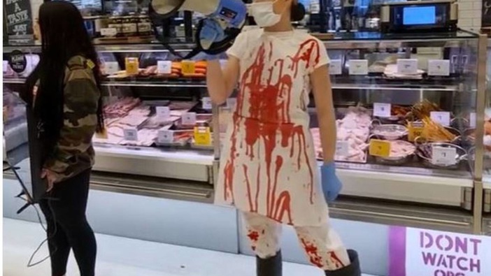 Tash Peterson has protested against animal slaughter for over two years. Photo / Instagram