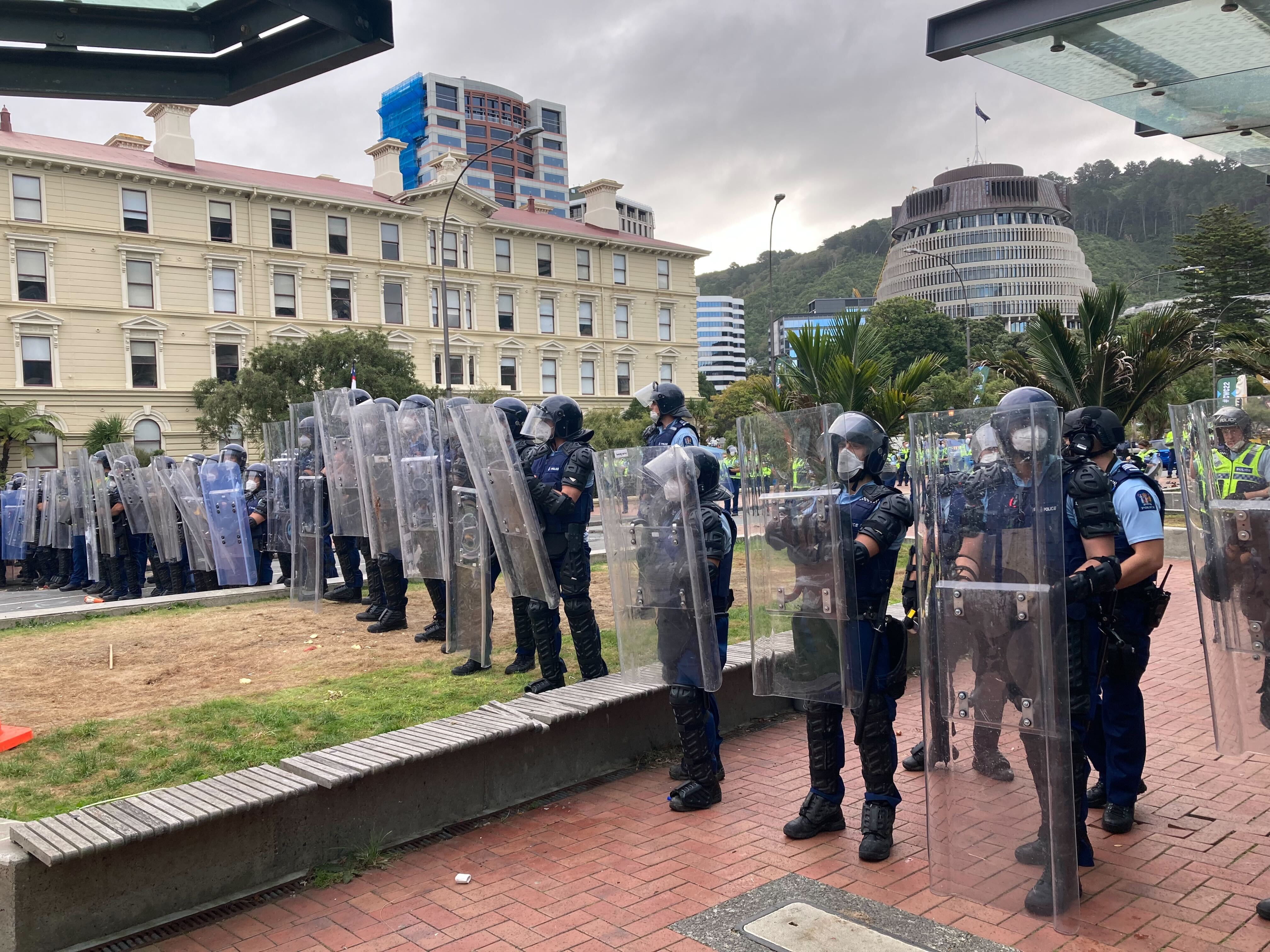 (Photo / Michael Neilson)