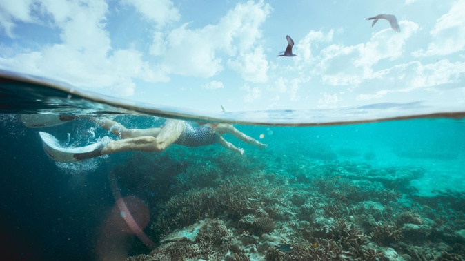 Snorkelling at Hardy Reef. Photo / Tourism Queensland