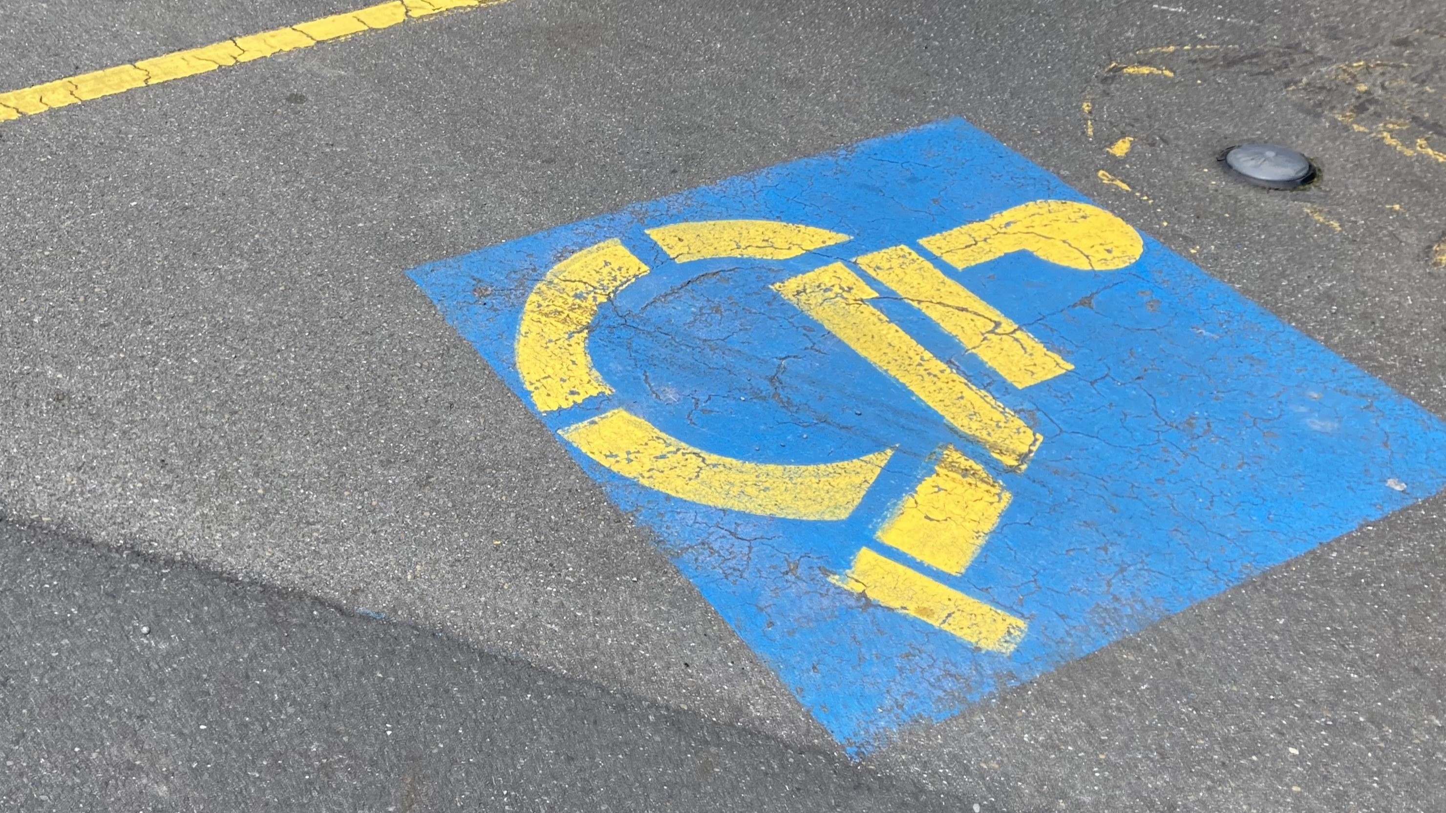 Photo / Laura Smith | File