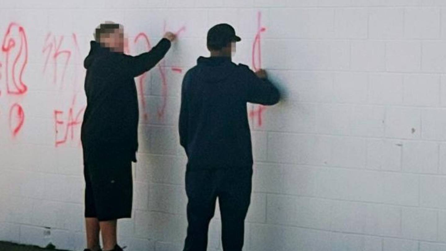 This picture was posted to the Rolleston Community Group Facebook page last week. Photo / Supplied