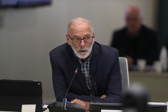 Auckland mayor Wayne Brown on day two of the Auckland Council budget meeting. Photo / Michael Craig