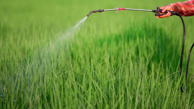 Chlorpyrifos is banned in Canada, not approved in the EU and under review in the US. File photo / 123rf