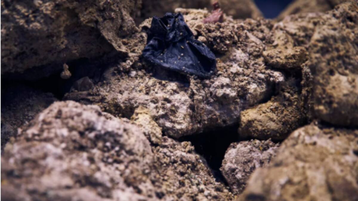 'Keep pets away': Fatbergs wash ashore after Nelson floods