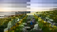 Photo / Destination Marlborough