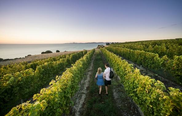 Photo / Destination Marlborough