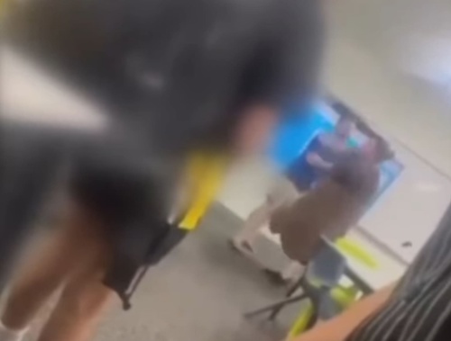 The mum's obscene tirade was caught on video. Photo / 7News