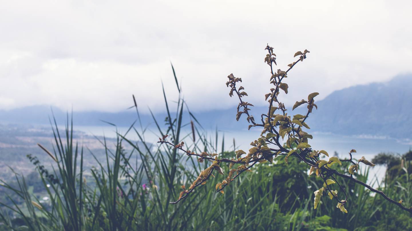 It was 3.9C at the Whangārei Airport today. Photo / NZME