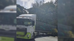 A large truck has become stuck on a hairpin on Cove Rd, Mangawhai, blocking both lanes.