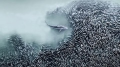 American photographer Joanna Steidle won the inaugural International Aerial Photography Awards for her outstanding portfolio. Photo / Joanna Steidle