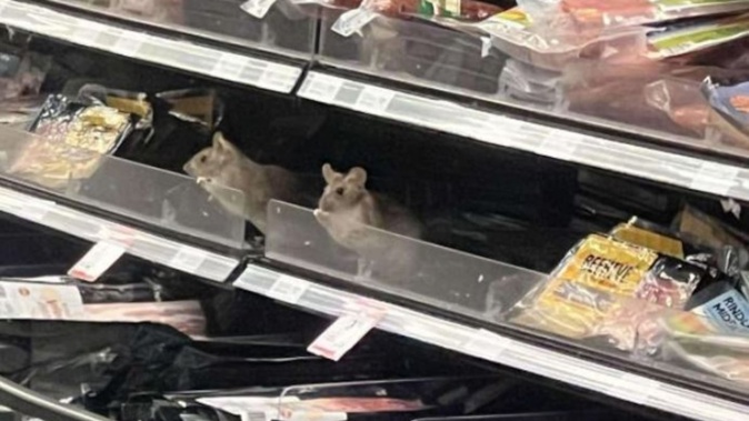 Woolworths New Zealand confirmed this photo of a rat, reflected in a mirror in the deli section, was taken at its Dunedin South Woolworths (formerly Countdown Dunedin South). Photo / Supplied