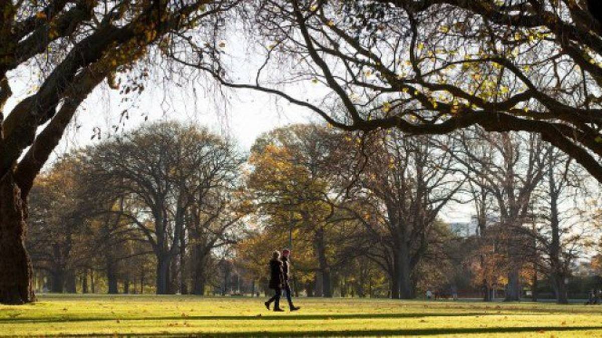 Hagley Park. Photo / NZ Herald