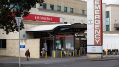Middlemore Hospital’s emergency department. Photo / Sylvie Whinray