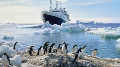 Plan the perfect bucket-list trip to Antarctica. Photo / Getty Images