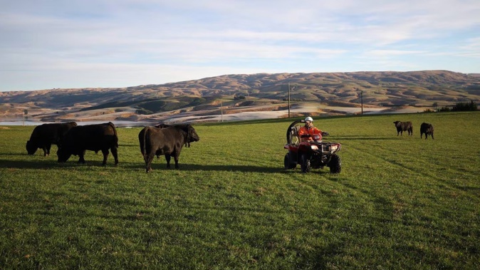 Safer Farms is calling on all farmers to reduce the risk of quad bike fatalities. Photo / Safer Farms