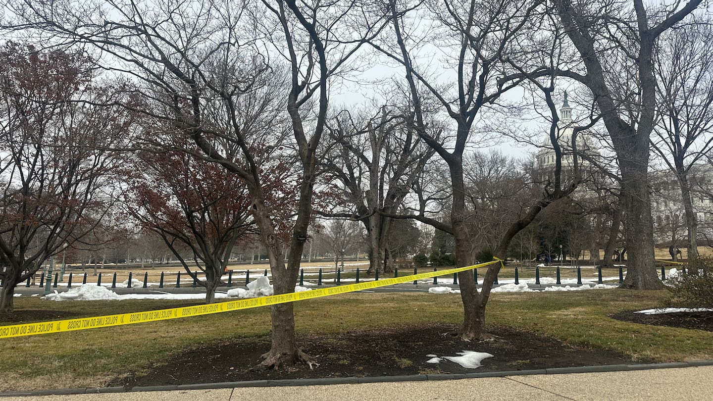 Teen ran towards the US Capitol with a loaded shotgun before being apprehended by police