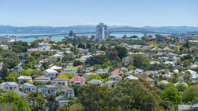 The serious assault happened at Stanley Bay Park in Devonport on Tuesday evening. (Photo / NZME)