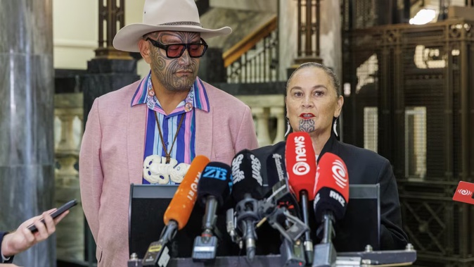 Te Pāti Māori co-leaders Rawiri Waititi and Debbie Ngarewa-Packer have been told of the decision. Photo / Mark Mitchell