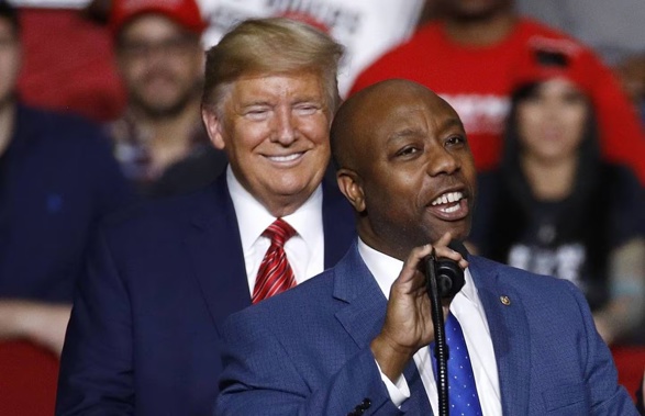 Senator Tim Scott speaks in front of former President Donald Trump during a campaign rally in 2020. Photo / AP