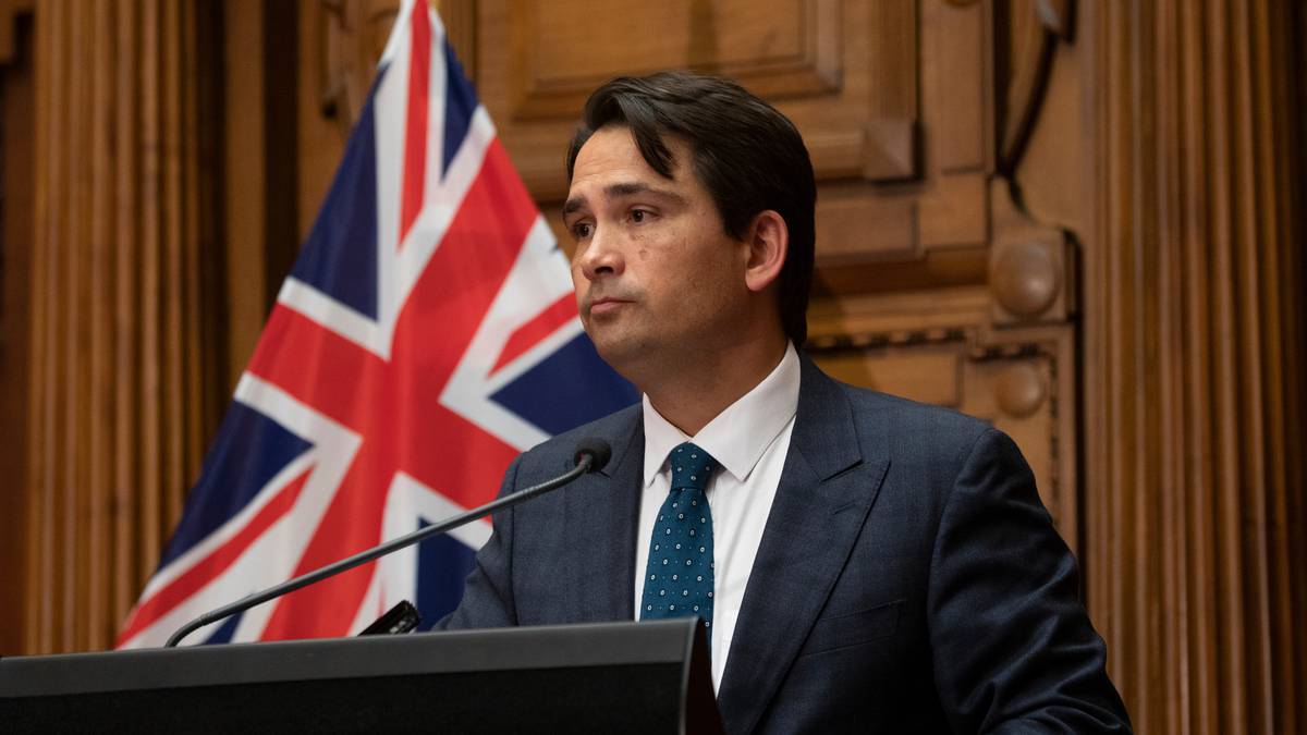 Simon Bridges on his week of &amp;#39;ups and downs&amp;#39;