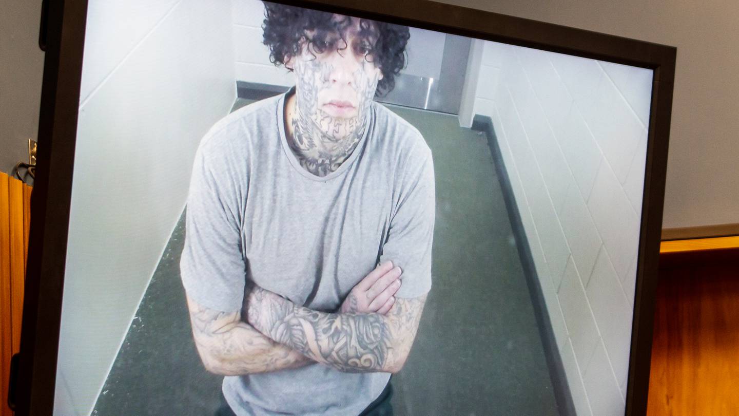 Tricq Brown appeared by video link in the Hutt Valley District Court for sentencing on the attack. Photo / Melissa Nightingale