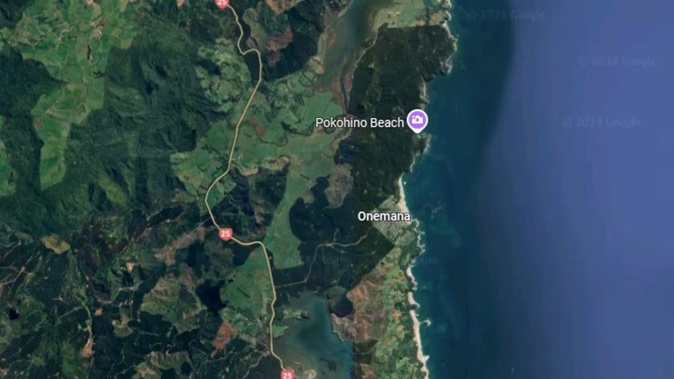 Two people have been rescued from the water off Ōnemana Beach on the Coromandel Peninsula and flown to hospital.