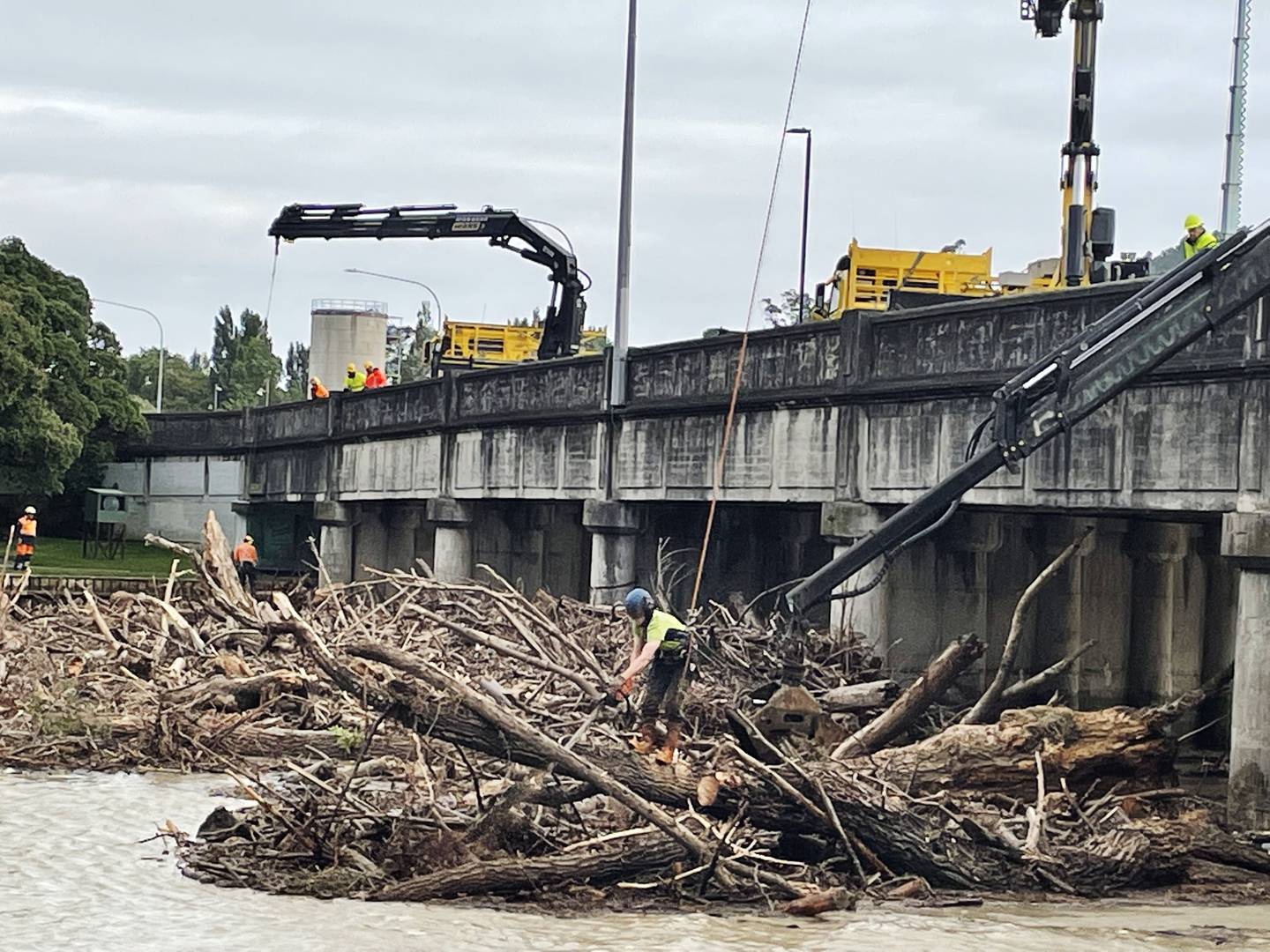 Forestry debris scattered near Waikanae Beach, Gisborne. Photo / Grant Bradley